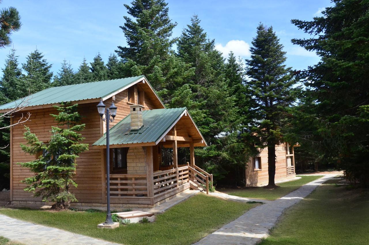Uludag Orman Koskleri Villa Bursa Ngoại thất bức ảnh