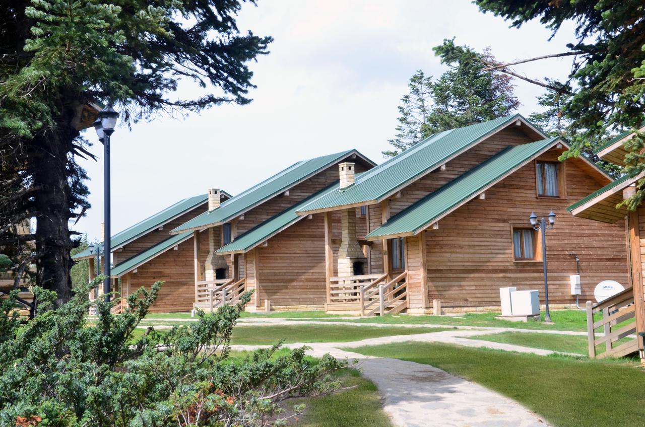 Uludag Orman Koskleri Villa Bursa Ngoại thất bức ảnh