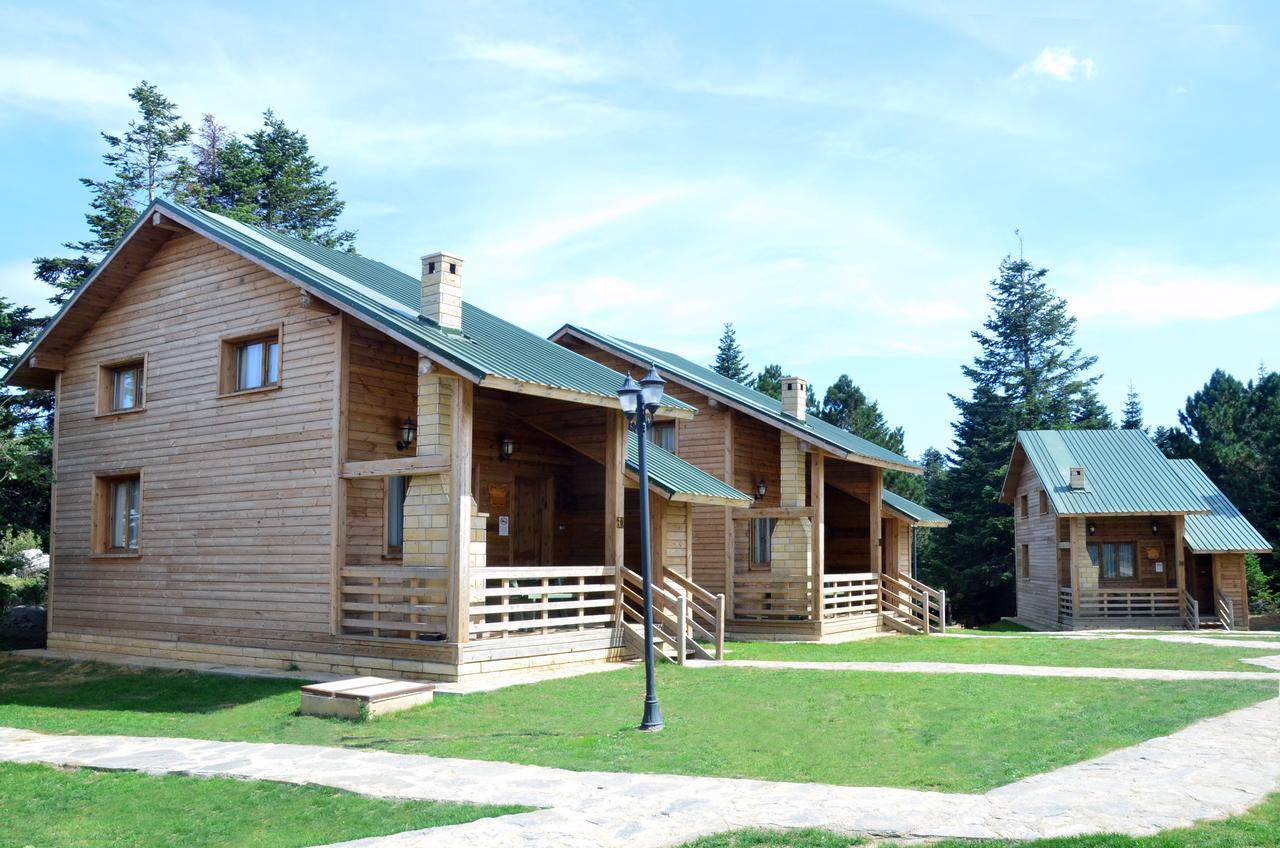 Uludag Orman Koskleri Villa Bursa Ngoại thất bức ảnh