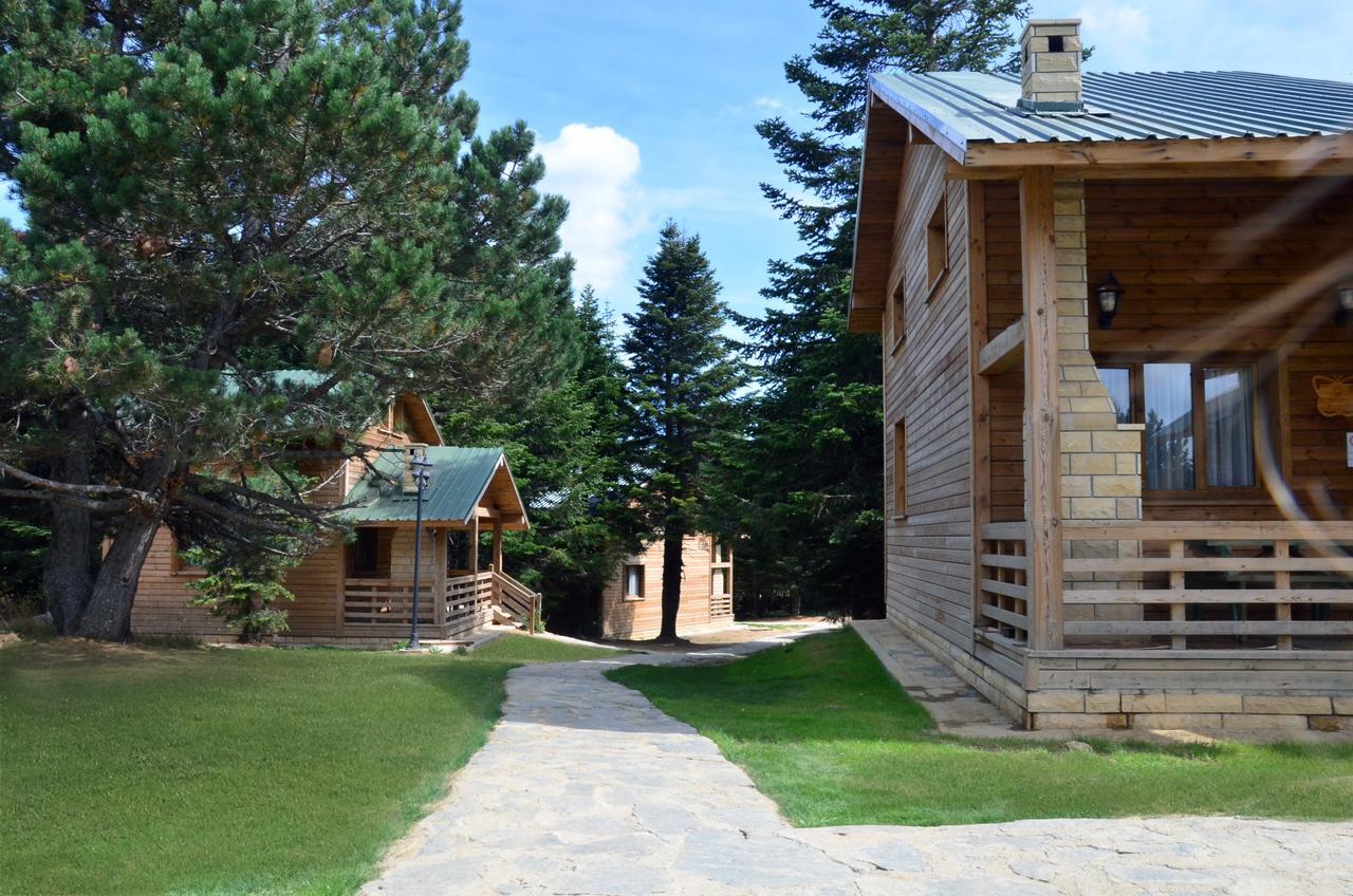 Uludag Orman Koskleri Villa Bursa Ngoại thất bức ảnh