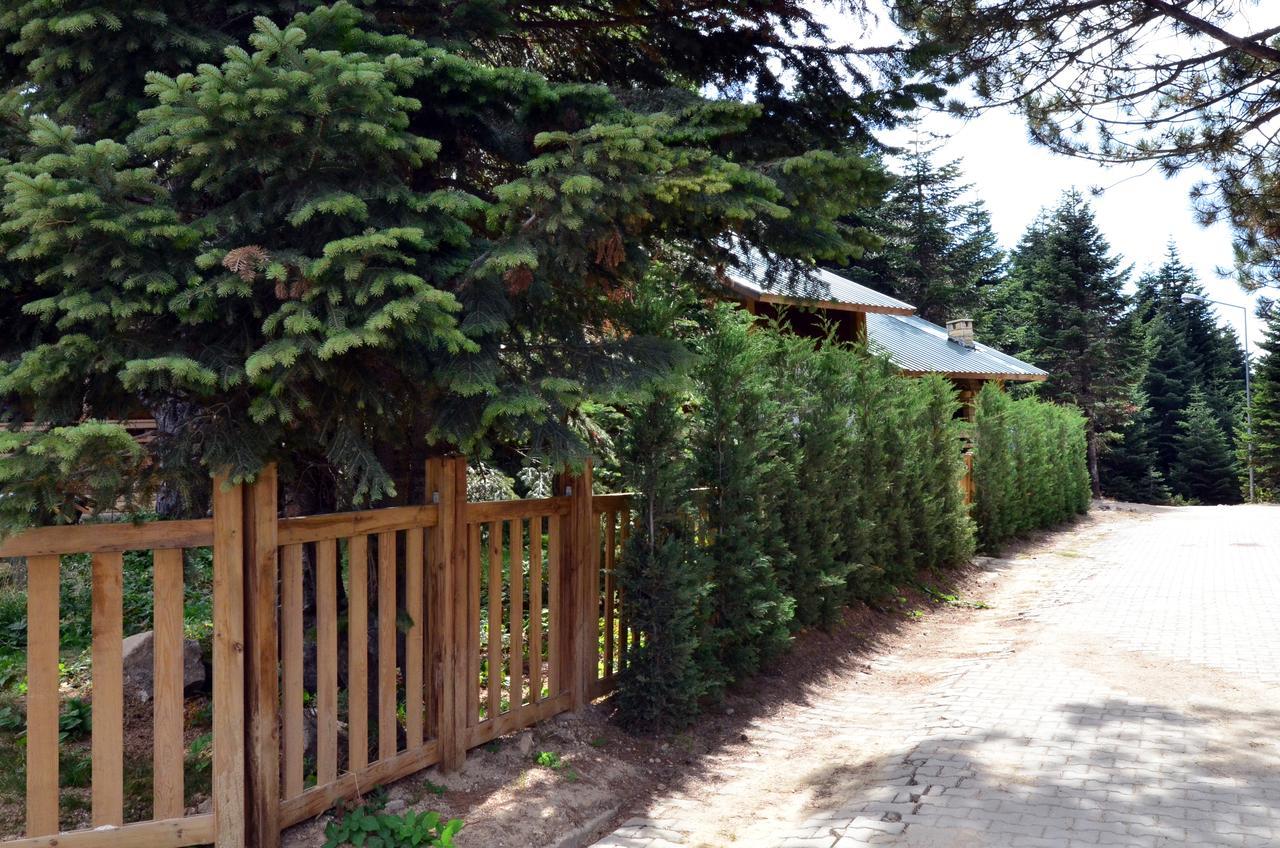 Uludag Orman Koskleri Villa Bursa Ngoại thất bức ảnh