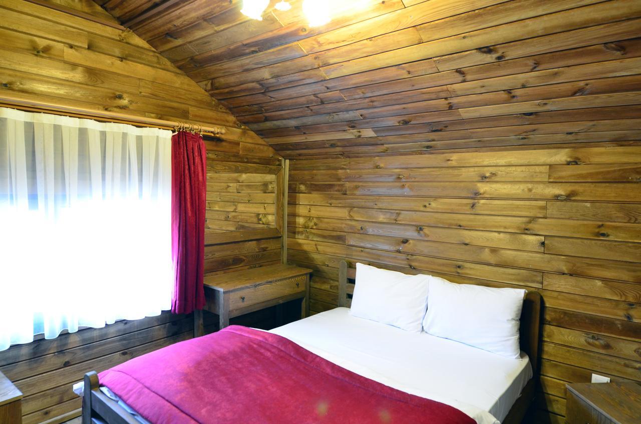 Uludag Orman Koskleri Villa Bursa Ngoại thất bức ảnh