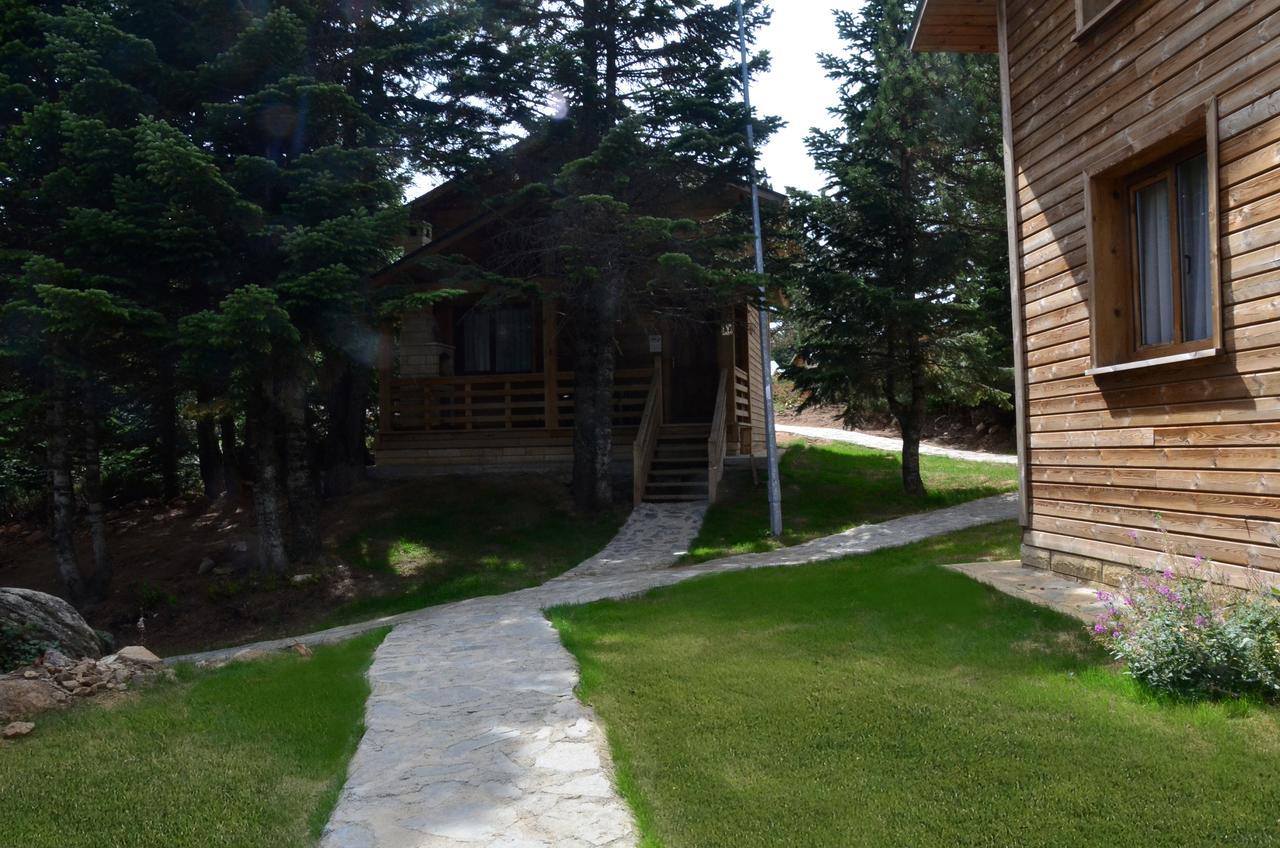 Uludag Orman Koskleri Villa Bursa Ngoại thất bức ảnh
