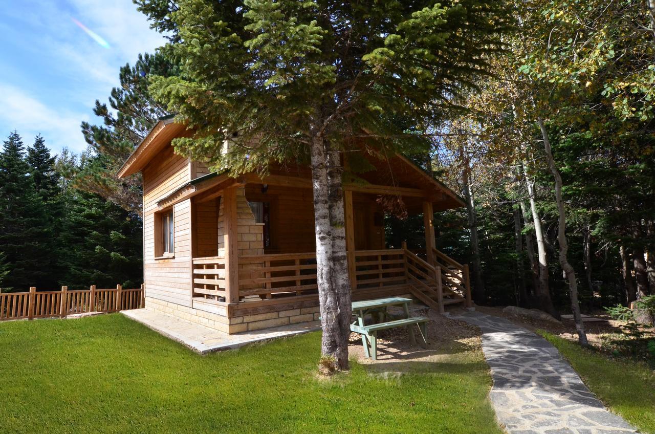 Uludag Orman Koskleri Villa Bursa Ngoại thất bức ảnh